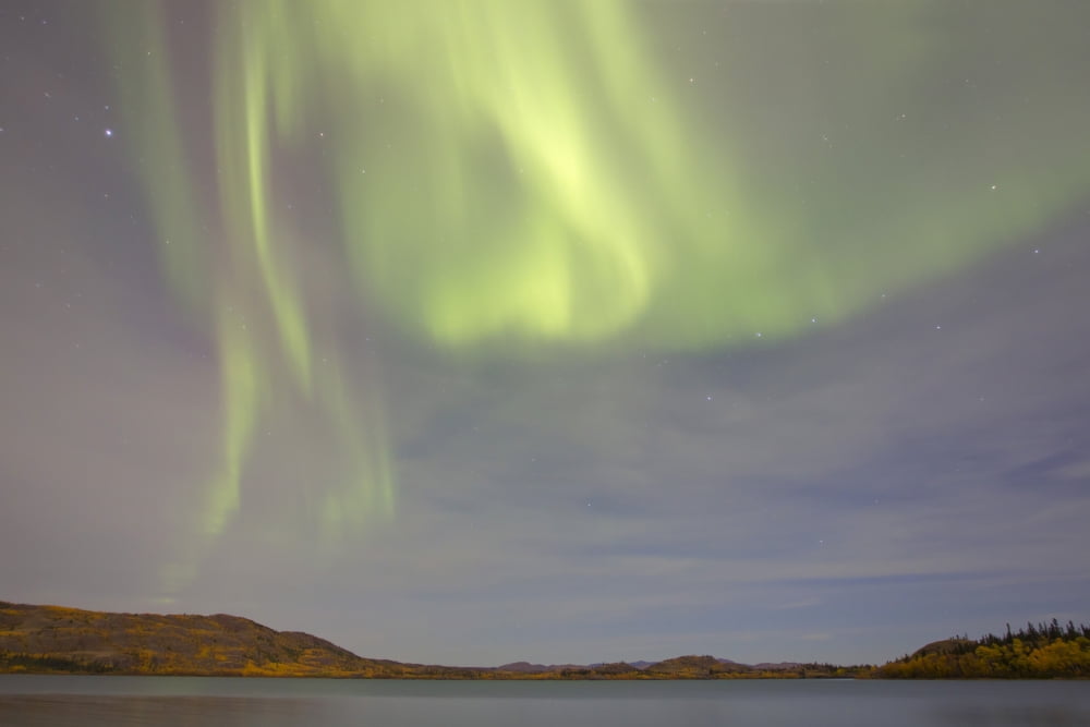 Aurora borealis with big dipper and moonlight over Lake Laberge Yukon Canada Canvas Art - Joseph BradleyStocktrek Images (35 x 23)