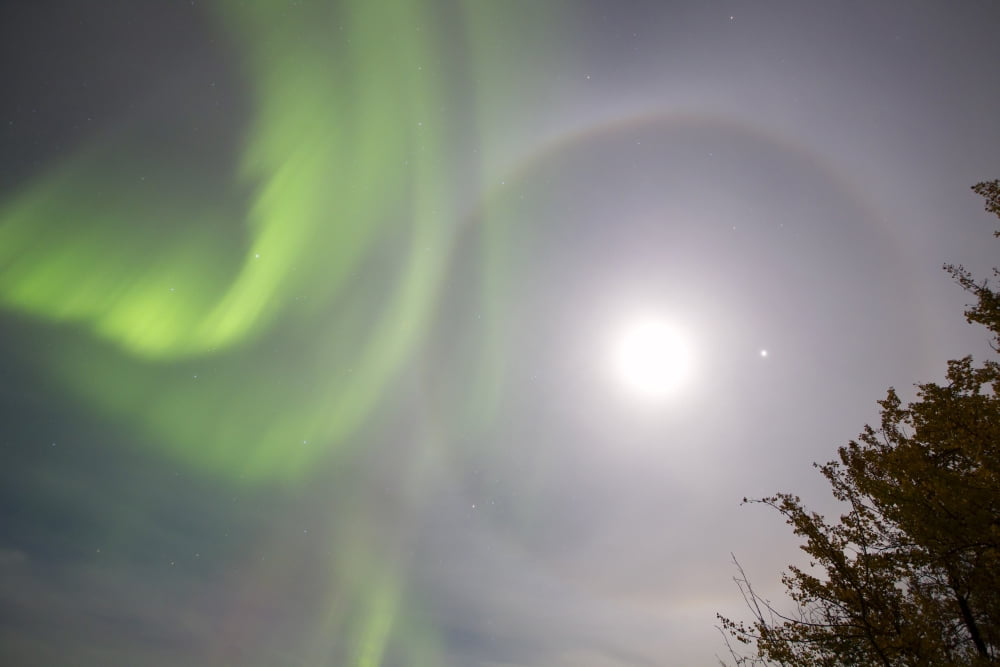 Aurora borealis with full moon halo and Venus by Lake Laberge Yukon Canada Canvas Art - Joseph BradleyStocktrek Images (35 x 23)