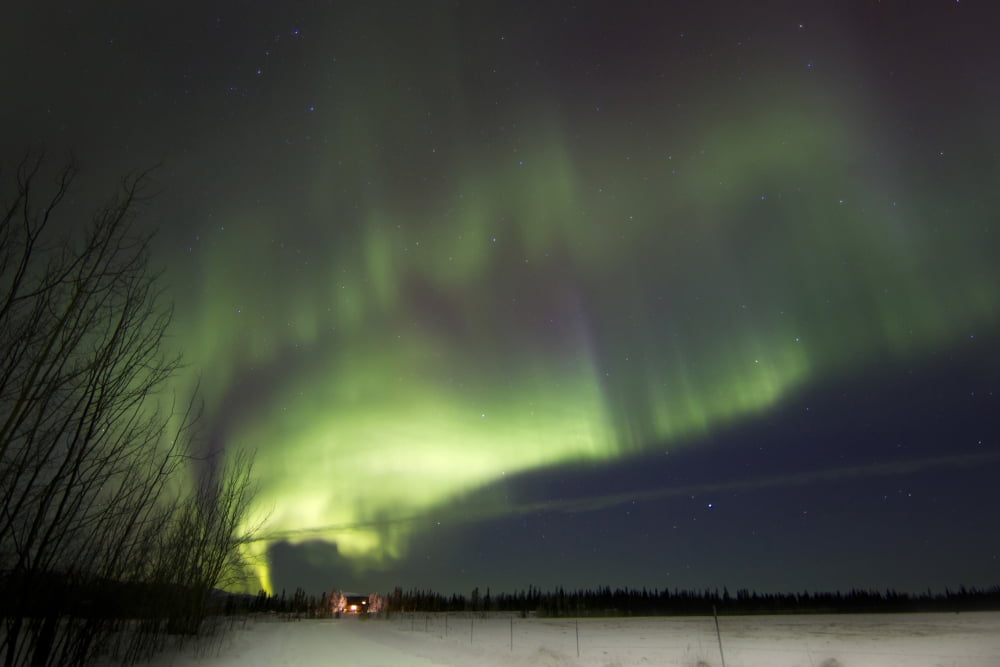 Aurora borealis with ranch Whitehorse Yukon Canada Canvas Art - Joseph BradleyStocktrek Images (18 x 12)