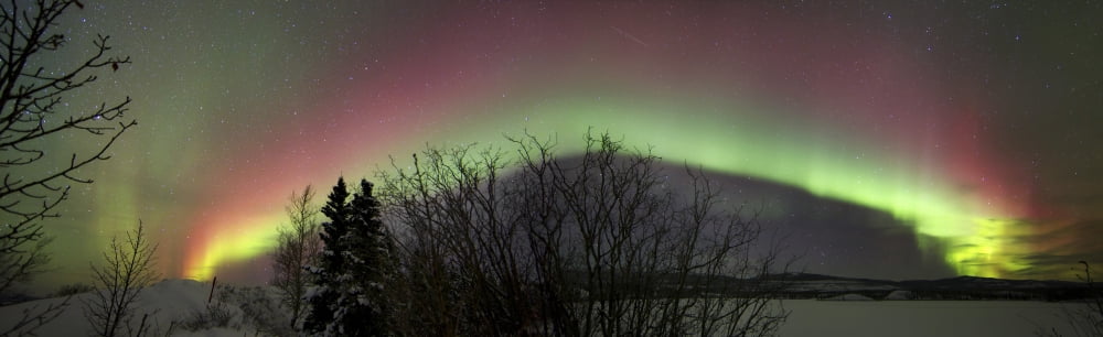 Aurora borealis with trees and Twin lakes Yukon Canada Canvas Art - Joseph BradleyStocktrek Images (26 x 8)