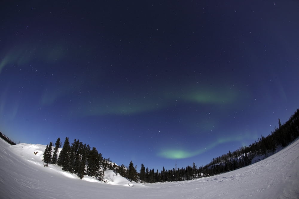 Aurora over Vee Lake Yellowknife Northwest Territories Canada Canvas Art - Yuichi TakasakaStocktrek Images (35 x 23)