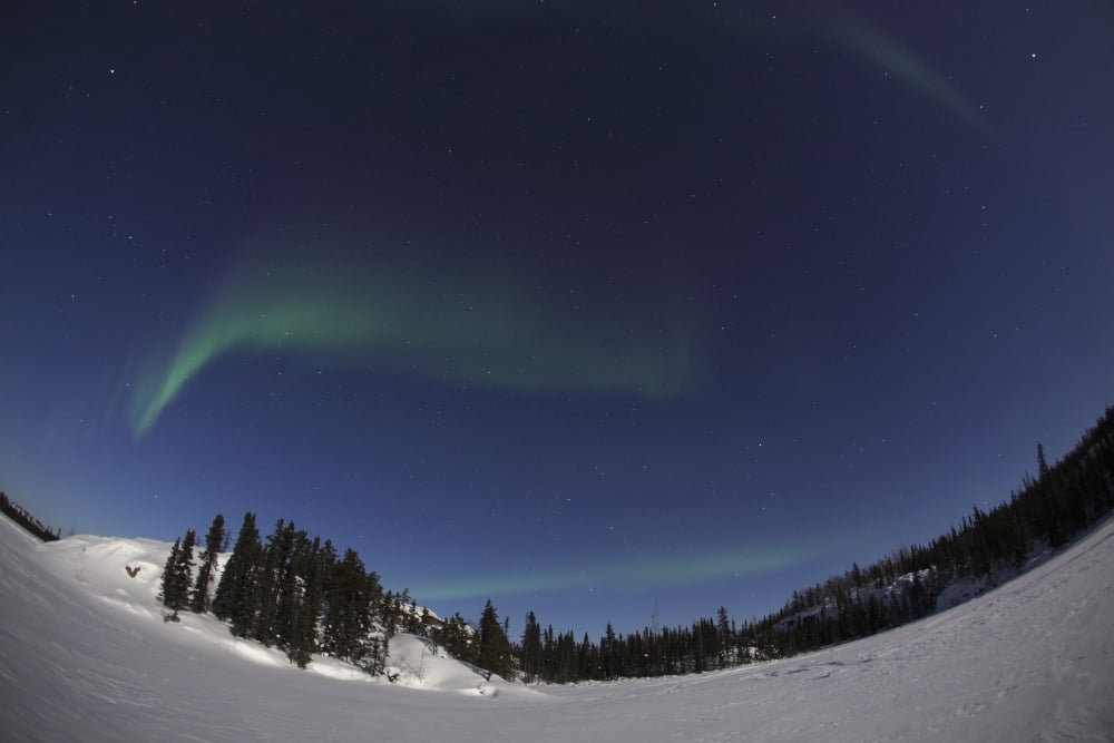 Aurora over Vee Lake Yellowknife Northwest Territories Canada Canvas Art - Yuichi TakasakaStocktrek Images (35 x 23)