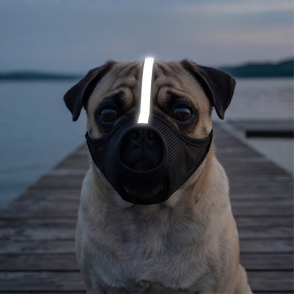 AuroraX Breathable Dog Muzzle for Dogs Adjustable Pet Mouth Cover Reflective Durable Paw Proof Comfortable Pet Supplies for Dogs Black National Dog Day International Cat Day