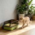 thumbnail image 1 of AuroraX Cat Litter Box with Lid Odor Control Covered Litter Box Semi Enclosed Top Entry 2 Pcs Leak-Proof High Sides Indoor Pet Supplies Green National Dog Day International Cat Day, 1 of 6