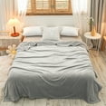 thumbnail image 1 of AuroraX Cozy Coral Fleece Throw Blanket for Couch Sofa Bed Decorative Soft Gray Lightweigh Blanket for Office Home Use Breathable Washable 39"x59" Fuzzy Throw for All Seasons, 1 of 7