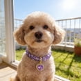thumbnail image 1 of AuroraX Crystal Heart Pet Necklace Adjustable Rhinestone Dog Collar Bling Fashion Party Wedding Pet Supplies for Dog Cat Purple, 1 of 6