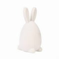 thumbnail image 1 of AuroraX Easter Bunny Eggs Decoration for Baskets,Flocked Easter Basket Stuffers for Teens Home Spring Birthday Decorations Party Favors, 1 of 3
