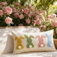 thumbnail image 1 of AuroraX Embroidered Easter Throw Pillow Covers 12x20 Inch Outdoor Euro Spring Plush Bunny Rabbits Decorative Pillow Covers Square Cushion Case for Couch Sofa Patio, 1 of 6