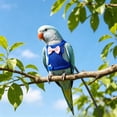 thumbnail image 1 of AuroraX Escape Proof Bird Harness Adjustable Parrot Walking Vest Nylon Reflective Buckle Comfort Breathable Bird Flight Jacket Blue, 1 of 7