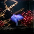 thumbnail image 1 of AuroraX Glow in the Dark Aquarium Decor Luminous Sea Anemone Fresh & Saltwater Silicone Material Natural Shape Night Glow for Betta Tank Red, 1 of 6