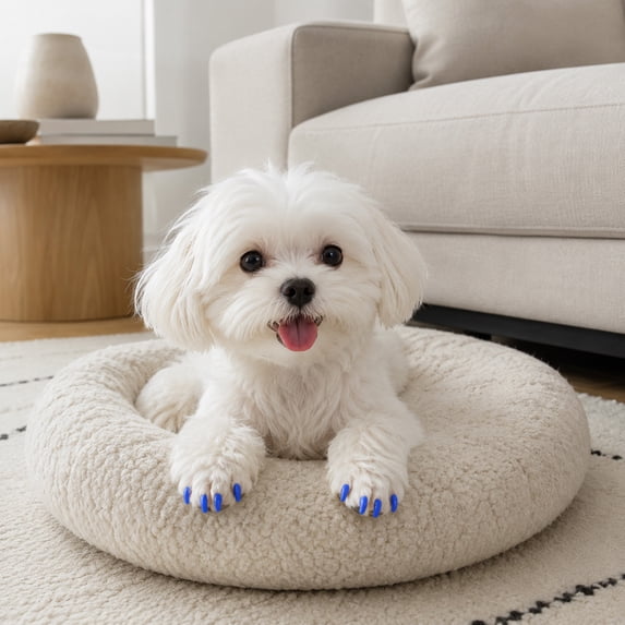 AuroraX Pet Nail Caps for Dogs and Cats Claw Protectors for Furniture Soft Easy to Apply Multi-Color Scratch-Proof Pet Supplies for Indoor Use Blue National Dog Day International Cat Day