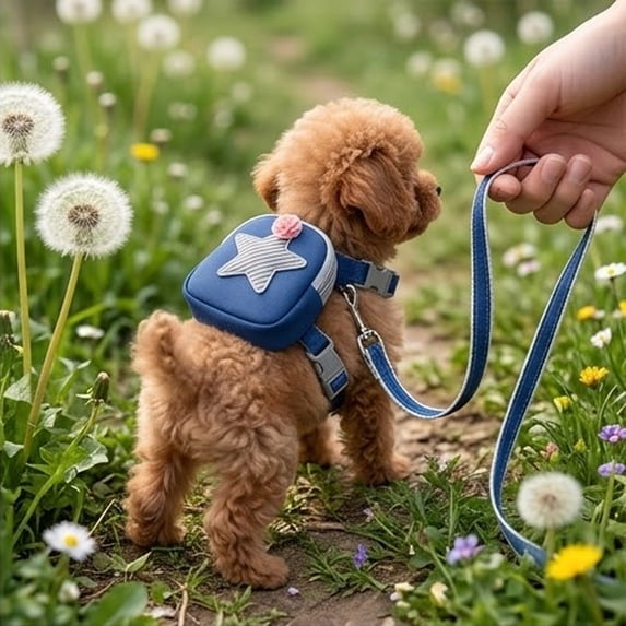 AuroraX Reflective Small Dog Harness No Pull Walking Harness Breathable Padded Vest Quick Clip Adjustable Chest Harness Blue