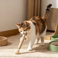 thumbnail image 1 of AuroraX Silvervine Cat Chew Wand Natural Sisal Rope Cat Wand Durable Non-Toxic Teeth Cleaning Long Lasting Interactive Cat Toy for Boredom Relief Brown, 1 of 6