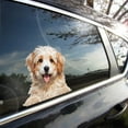 thumbnail image 1 of AuroraX Stickers Decorations,Dog Car Realistic Personalized Decals for Outdoor No Drilling Required Window Car Decor, 1 of 6