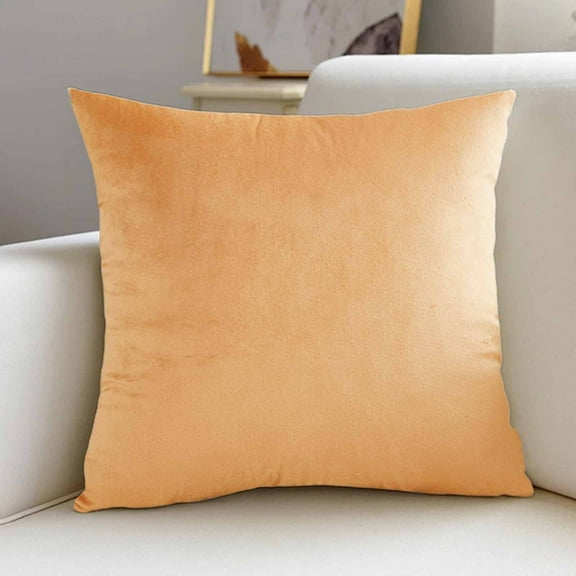 AuroraX Velvet Throw Pillow Covers Solid Decorative 18x18 Inch Square Pillow Covers Outdoor Super Soft Minimalist Cushion Cases Sofa Couch,Home Decor