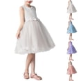 thumbnail image 1 of Auroural Flower Girl Dress Lace Tulle Dress for Wedding,Birthday Party,Photoshoot,Special Occasion Girls' Summer Sleeveless Ruffled Lace Round-Neck Embroidery Mesh Princess Bow Skirt, 1 of 6