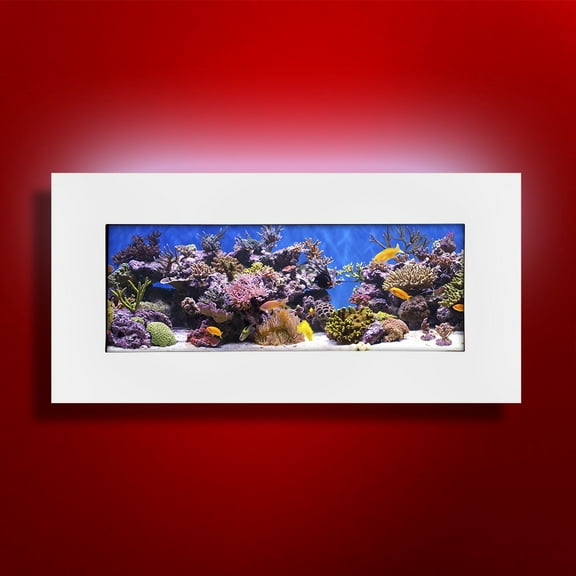 Aussie Aquariums 2.0 Wall Mounted Aquarium - Skyline - Matte White