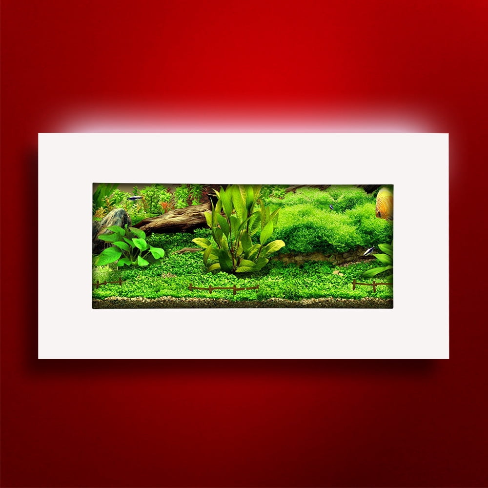 Aussie Aquarium View 2.0 Slim Wall Mounted Fish Tank Kit | 2 Gallon | LED Light | 4.5 inches Deep | All Hardware Included
