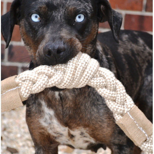 Aussie Naturals 204481 Knotted Jutey Cotton Braid Dog Toy, 12