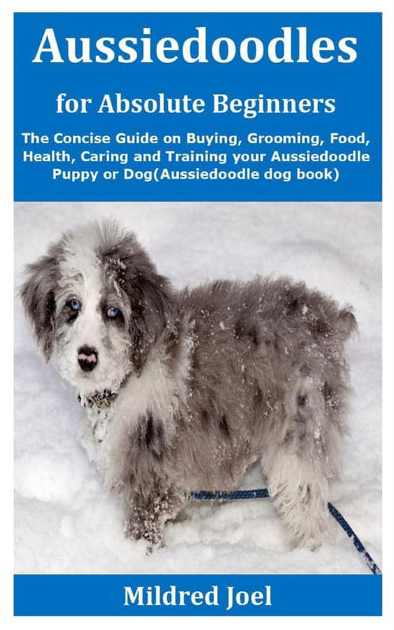 Buy aussiedoodle hot sale