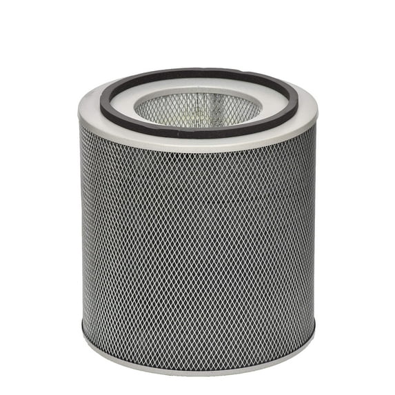 Austin Air FR400A Standard Healthmate Filter, Black