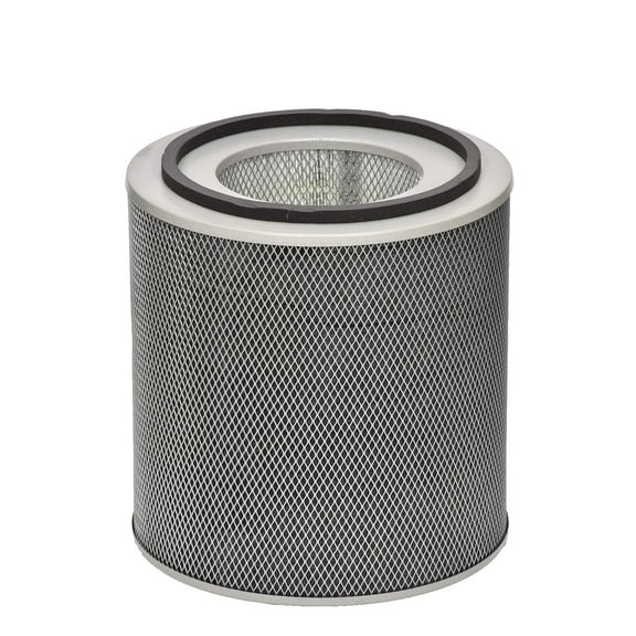 Austin Air FR400A Standard Healthmate Filter, Black