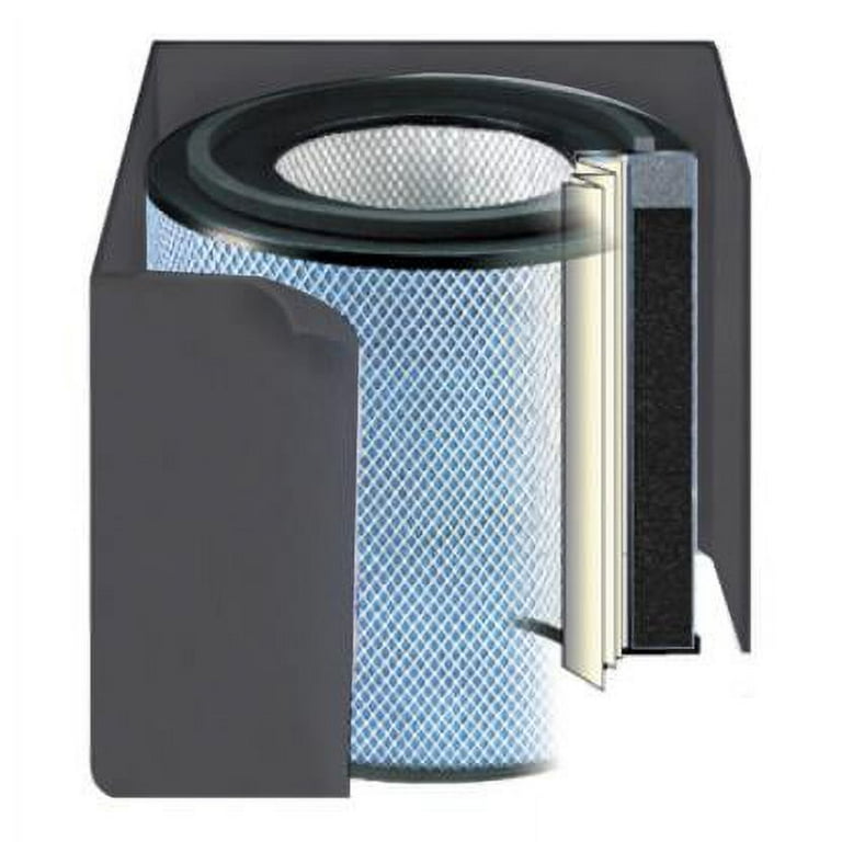 Austin Air HealthMate HEPA Standard Filter Walmart