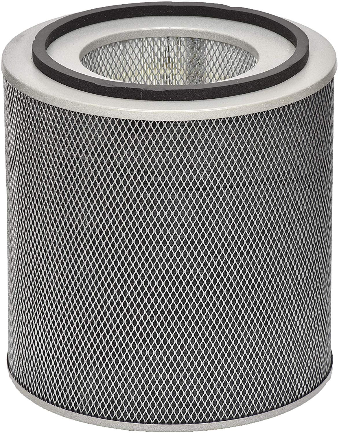 Austin Air Healthmate Filter, Black