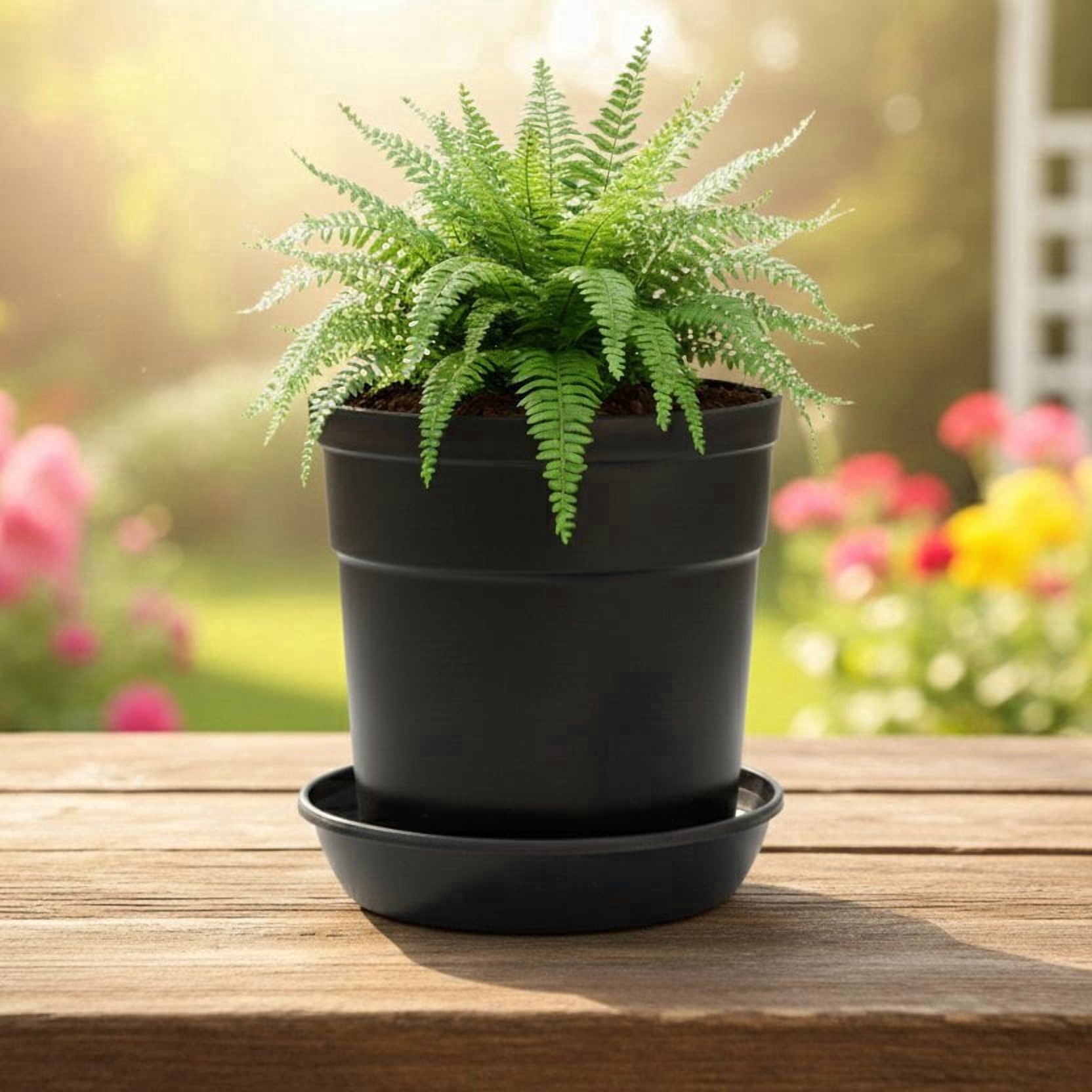 Austin Planter 4 inch Black Pots and Saucers 5 Pack