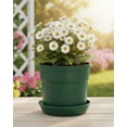 thumbnail image 1 of Austin Planter Plastic Flower Pots with Saucers, 4 inch, Hunter Green, 5 Pack, s Planter, Nursery Planter, Colorful Pots with Saucers, 1 of 5