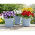 thumbnail image 1 of Austin Planter Plastic Flower Pots with Saucers, 4 inch, Baby Blue, 5 Pack, s Planter, Nursery Planter, Colorful Pots with Saucers, 1 of 3