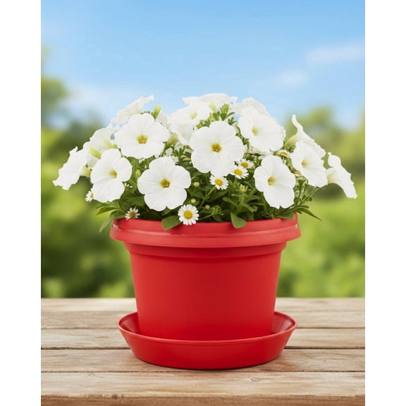 Austin Planter Pot with Saucer,12 inch Red, Single, Plastic Flower Pot, seedlings Planter, Nursery Planter, Colorful Flower Planter with Saucer