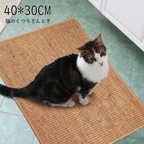 Austok 2 pcs Cat Scratching Mat 11.81 x 15.75 Inch Thickened Soft Comfortable Cat Scratching Pad Non-slip Kitty Scratch Rug Protecting Furniture for Home Living Room