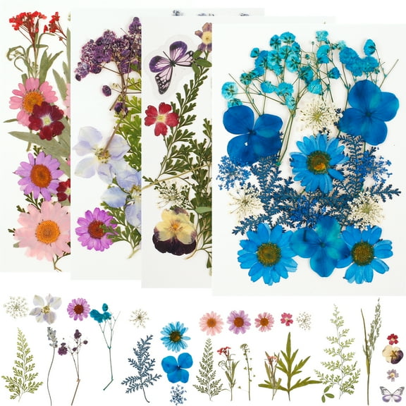 Austok 81Pcs Pressed Dried Flowers Set Real Natural Plant Pressed Flower Leaves DIY Mixed Multi-color Pressed Flower Kit Multipurp