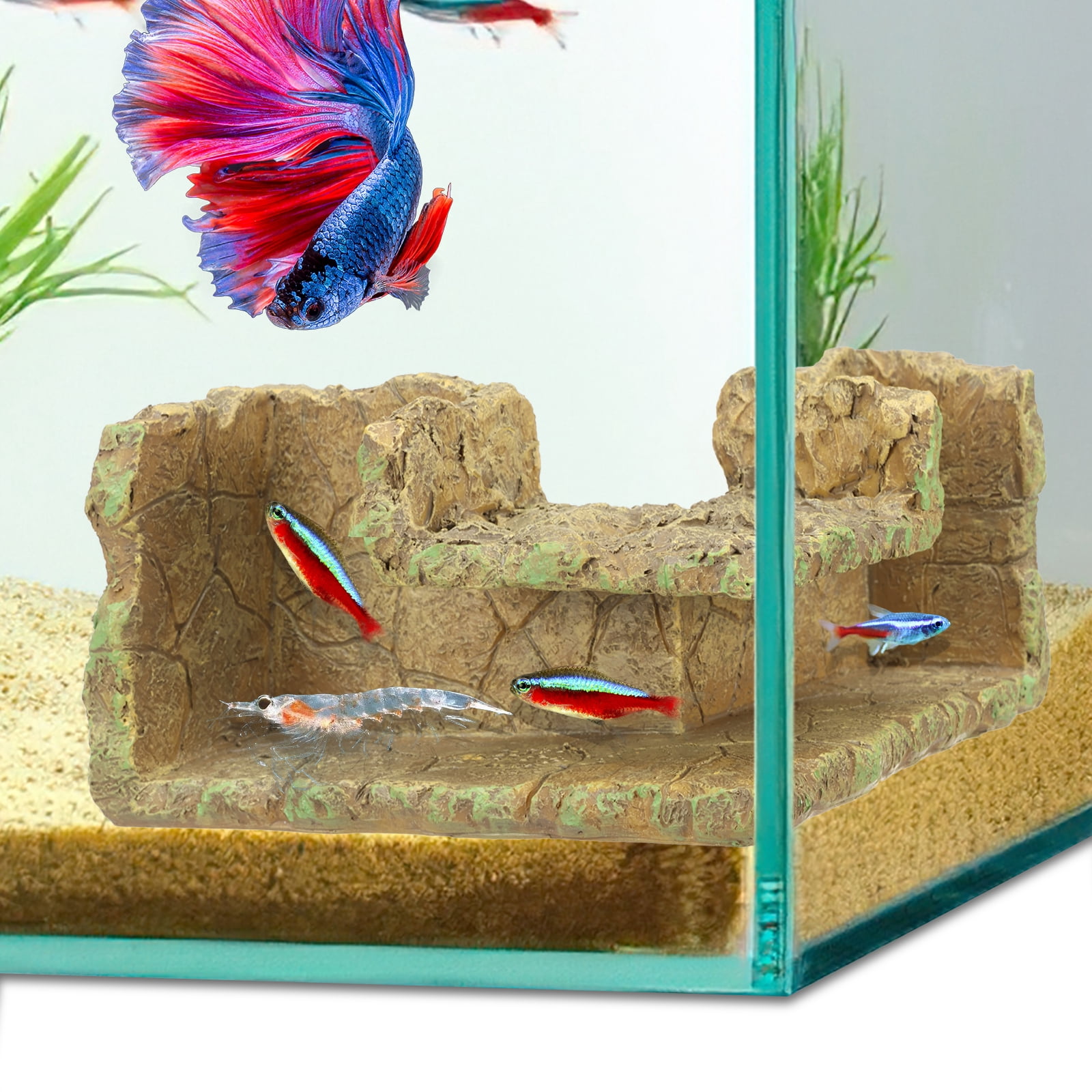 Ondergrondse Aquariumtunnel – Gebogen Schuilplaats Voor Betta, Garnalen En Hermietkreeften – 19x9x8,5 Cm – Visveilige Hars – Realistisch En Gemakkelijk Schoon Te Maken