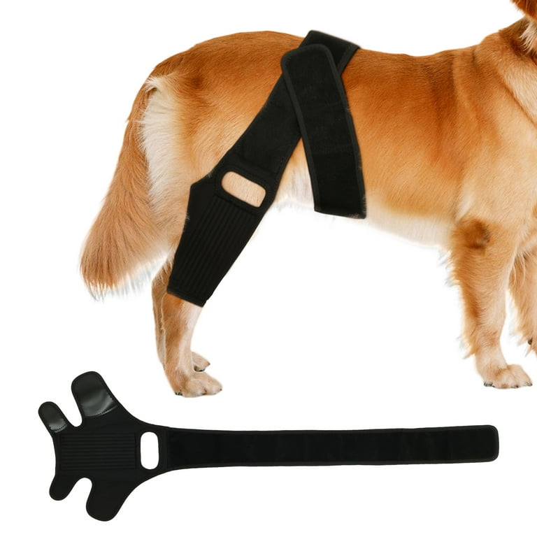 Austok Dog Leg Braces Adjustable Dog Knee Brace Comfortable Dog Leg Hip Brace with Metal Support Bar Extra Support Knee Brace for Dog Hip Dysplasia Luxating Patella Walmart