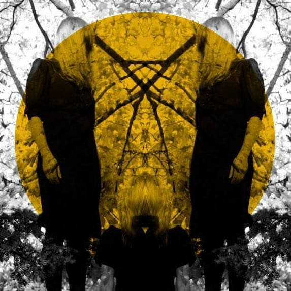 Austra - Feel It Break - Music & Performance - Vinyl