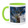 thumbnail image 1 of 3drose, Australia, Adelaide. Cleland Wildlife Park. Eucalptus, Gum, Forest., 15oz Two-tone Green Mug, 1 of 6