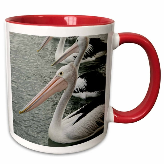 3drose, Australia, Albany, Oyster Harbor. Australian Pelican., 11oz Two-tone Red Mug