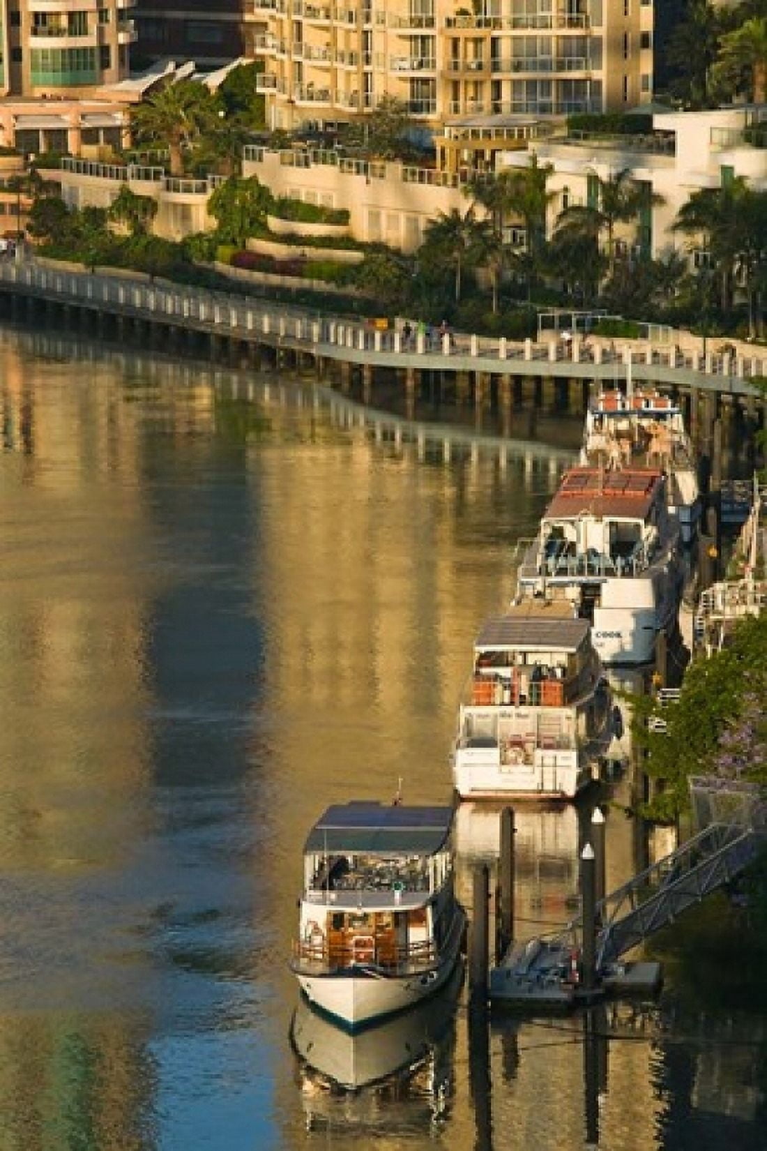 Australia Brisbane Brisbane River Marina boats Canvas Art - Walter Bibikow DanitaDelimont (24 x 36)