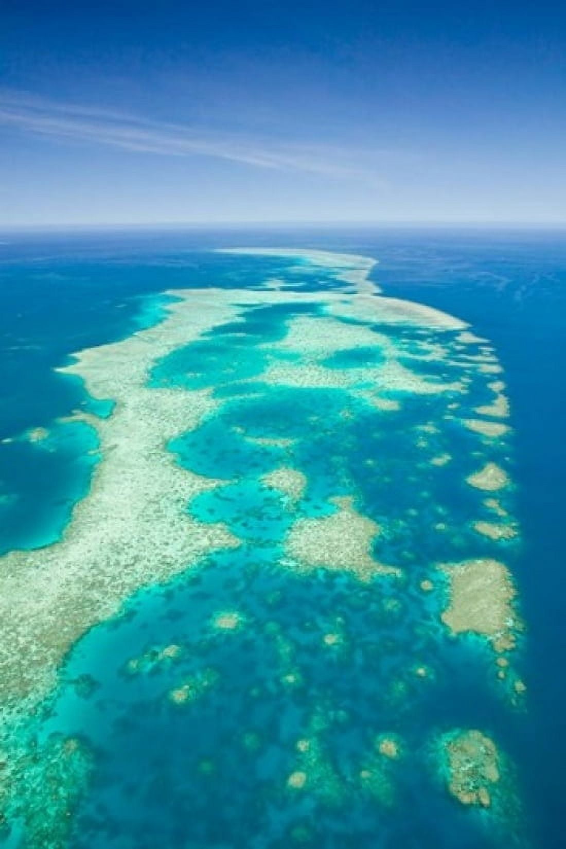 Australia Cairns Great Barrier Reef Elford Reef Canvas Art - Walter Bibikow DanitaDelimont (24 x 36)