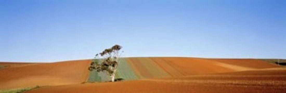 Australia Canvas Art - Panoramic Images (18 x 6)