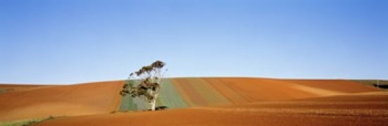Australia Canvas Art - Panoramic Images (36 x 12)