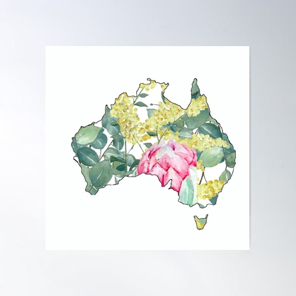 Australia Flora Poster Wall Art, Modern Wall Decor For Living Room Bedroom, 30x30 UNFRAMED
