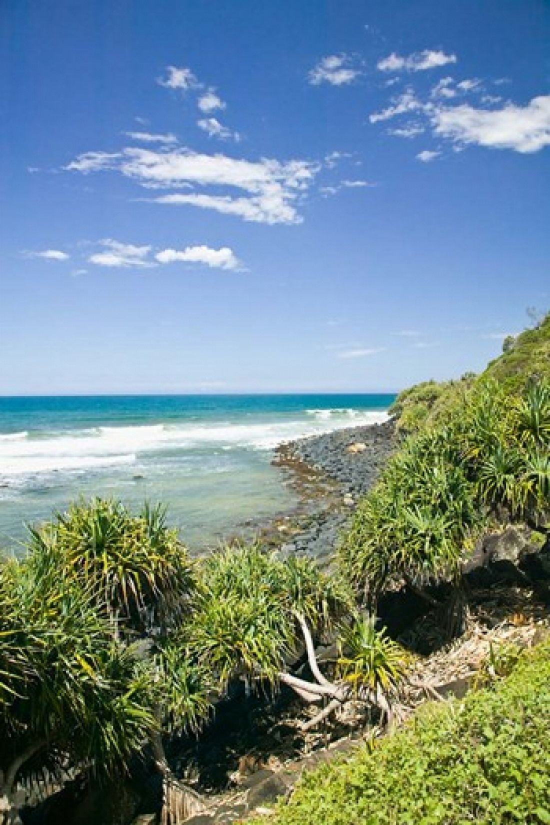Australia Gold Coast Burleigh Head NP beach Canvas Art - Walter Bibikow DanitaDelimont (18 x 26)