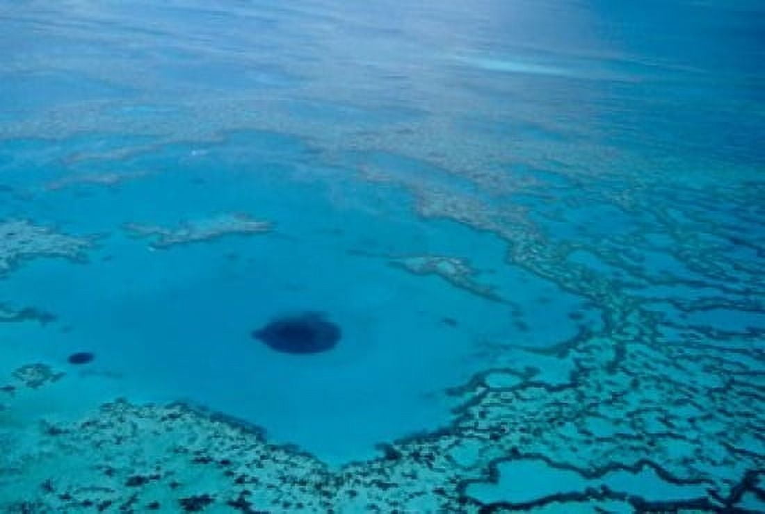 Australia Great Barrier Reef Blue Hole Canvas Art - Cindy Miller Hopkins DanitaDelimont (26 x 18)