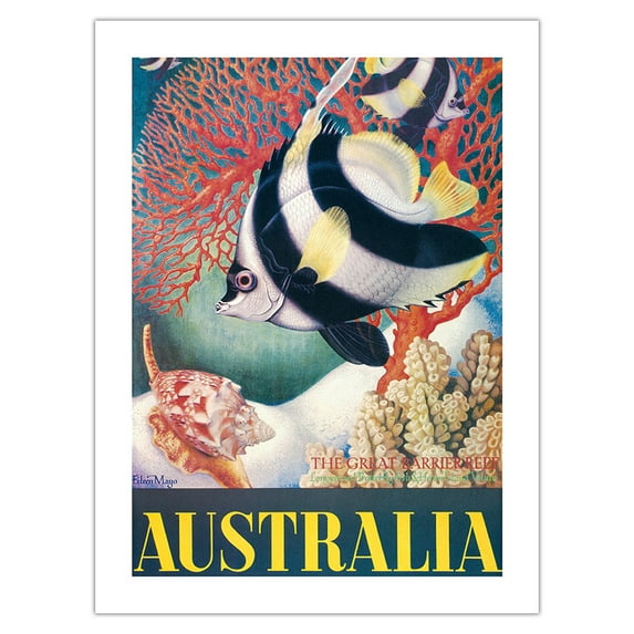 Australia - Great Barrier Reef - Longspined Butterfly-Fish and Heron Island Volute - Vintage Travel Poster by Eileen Mayo c.1956 - Bamboo Fine Art 290gsm Paper Print (Unframed) 18x24in