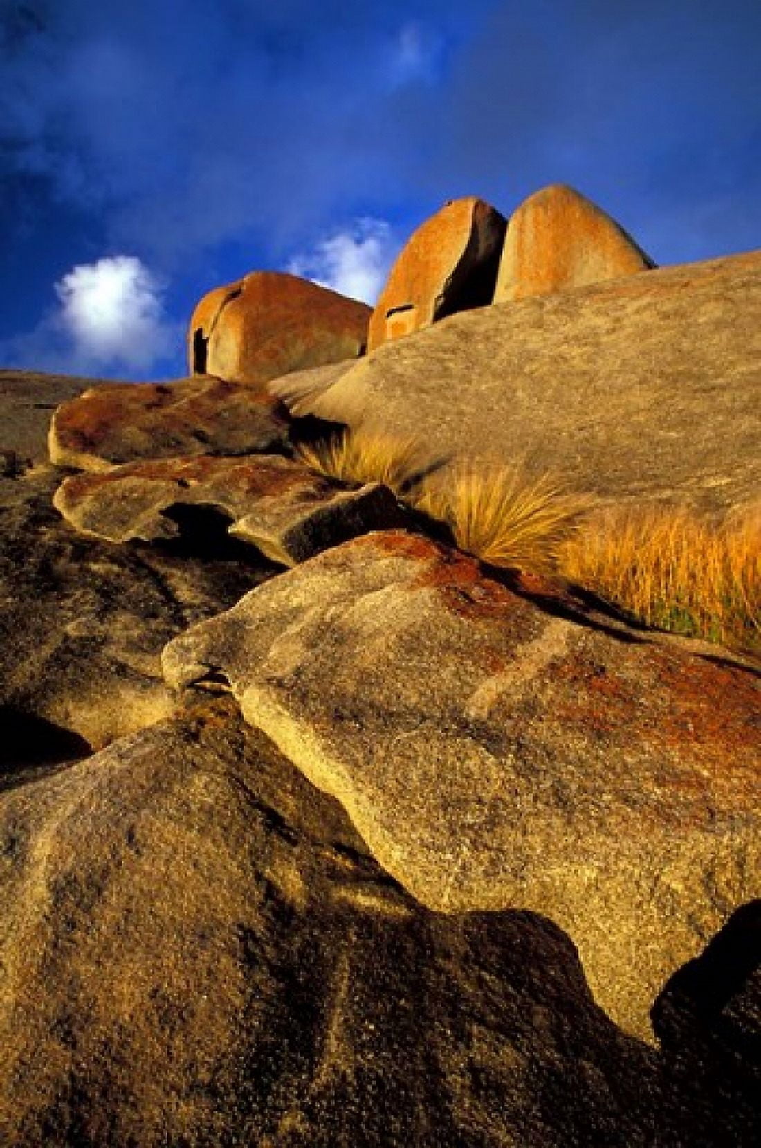 Australia Kangaroo Island Rocky Landscape Canvas Art - Gavriel Jecan DanitaDelimont (18 x 27)