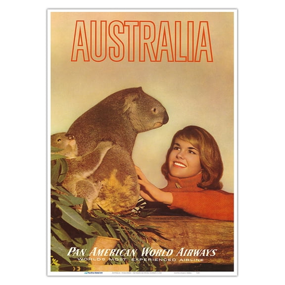 Australia - Koala Bears - Vintage Airline Travel Poster c.1960 - Master Art Print 10in x 14in