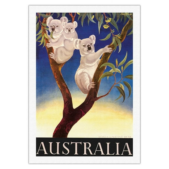 Australia - Koala Bears - Vintage Travel Poster by Eileen Mayo c.1956 - Fine Art Rolled Canvas Print 27in x 40in